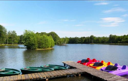 Sainte-Montaine Other | Camping maeva Respire Domaine de Sainte Montaine