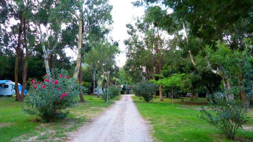 Poggio-Mezzana Other | Camping Miami plage