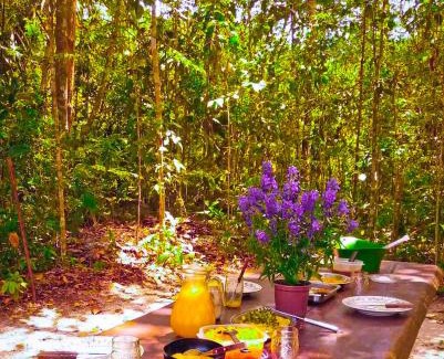 Taruma Other | Camping na Floresta