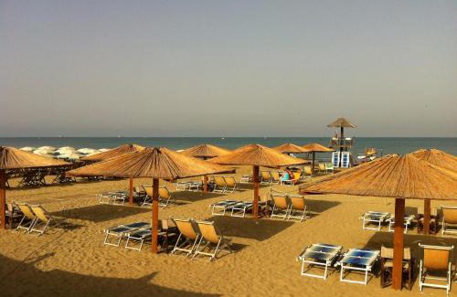 Calambrone Other | Camping Pineta