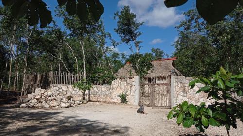 Tulum Other | Camping Rancho El Tauro
