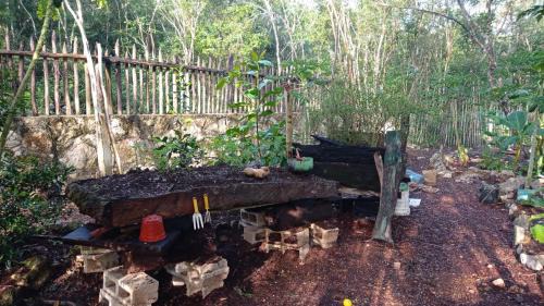 Tulum Other | Camping Rancho El Tauro