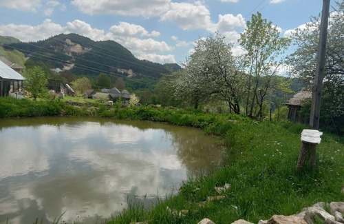 Rosia Montana Bed & Breakfast | Camping Retreat Mountain Sanctuary