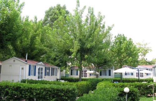 Ameglia Other | Camping River