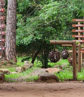 Melgarejo Hotel | Camping Tacuara