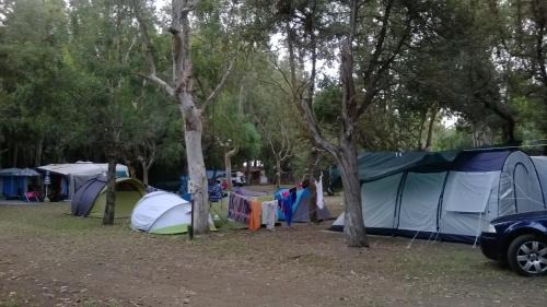 Sant'Eufemia Lamezia Other | Camping Ulisse Calabria