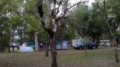 Sant'Eufemia Lamezia Other | Camping Ulisse Calabria