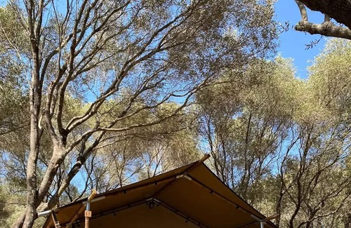 Vetricella House | Camping Vigna Maggiore * - LODGE TENT without bathroom! 5 people
