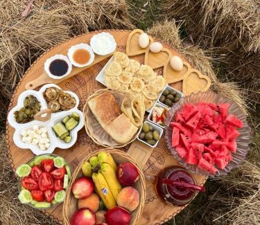 Grile Other | Camping villa lake shkodra