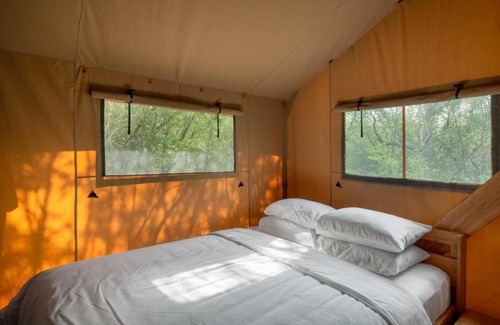 Allende Other | Campizo Glamping - Monterrey X NANTLI LIVING