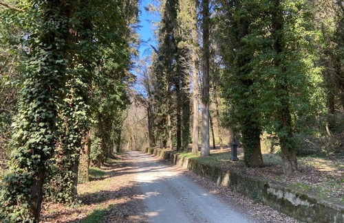 Cincelli Apartment | Campoleone 2 -Apartment on historical property near Arezzo, Tuscany