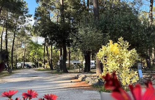 Bollene Ski Chalet | Campsite La Simioune* - Chalet LAVENDER - 2 bedrooms (2 adults maximum and 2 children under 12 years old) - Small Budget 2 to 4 people - 2 people. included in the
