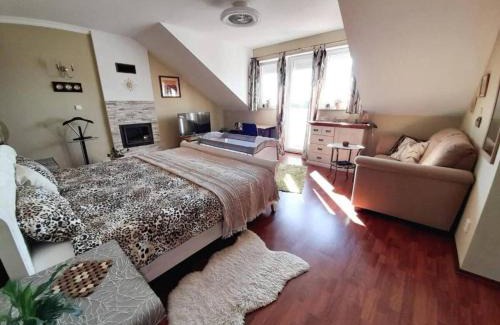 Vinosady Bed & Breakfast | Canadian style house with 3D effect pool