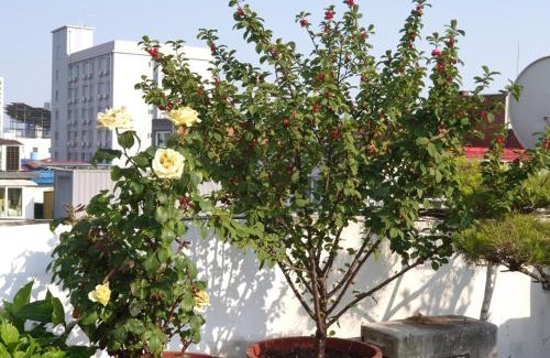 Haga-ri House | Cancan Guesthouse