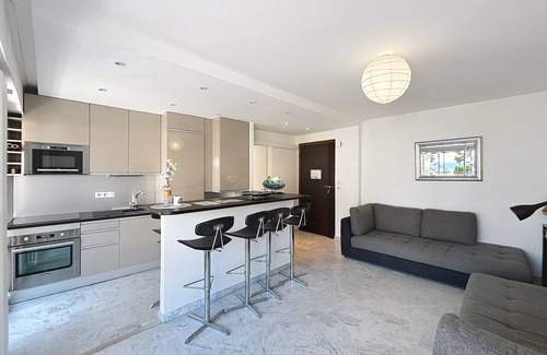 Pointe Croisette Apartment | Cannes: Palm Beach area - 1 bedroom apartment - terrace, sea view