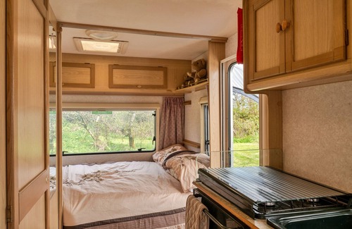 Beaworthy House | Canvas & Cabins | Orchard View