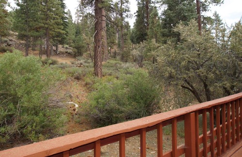 Fawnskin Cabin | Canyon Cabin