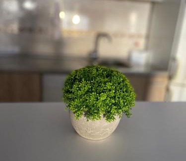 Bistrica Apartment | Canzona