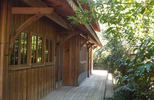 Cap-Ferret Villa | CAP-FERRET 44 HECTARES (Réf 19)