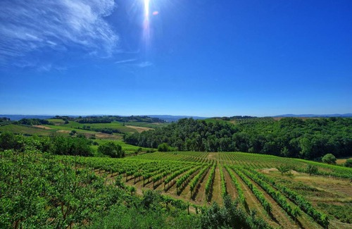 San Gimignano Apartment | Capannina 1