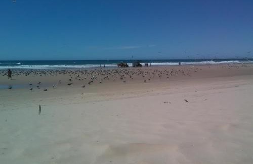 Charneca de Caparica e Sobreda House | Caparica Holidays