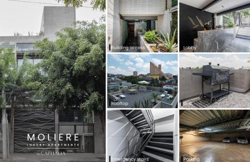 Miguel Hidalgo Apartment | Capitalia Moliere Masaryk