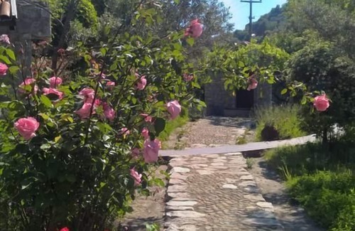 Dalyan City Center Villa | Caretta Villa