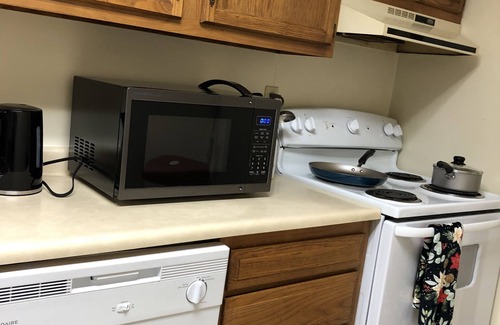 Wilmington Apartment | Carey Villa III… near WC, WEC, and downtown Wilmington