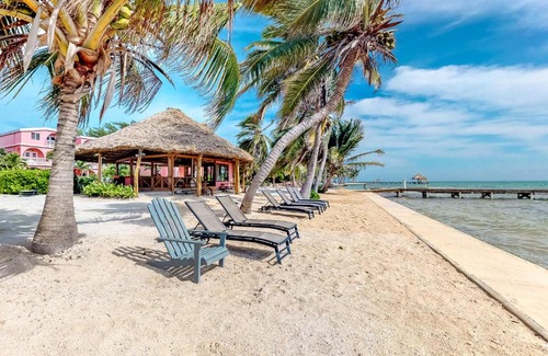 San Pedro Hotel | Caribbean Lily @ Caribe Island