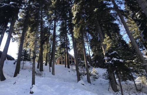 McCall House | Carlson Cabin by Casago McCall - Donerightmanagement
