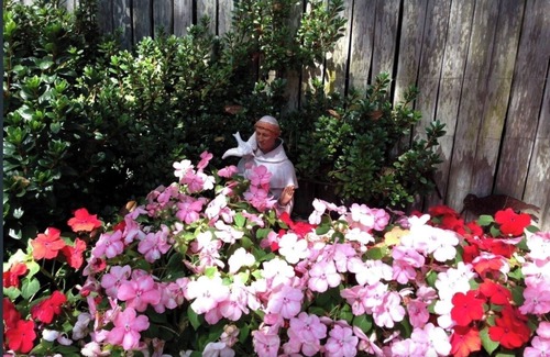 Hatton Fields Cottage | Carmel charmer! Short, 10 min. walk to town center. Close to trail to Mission.
