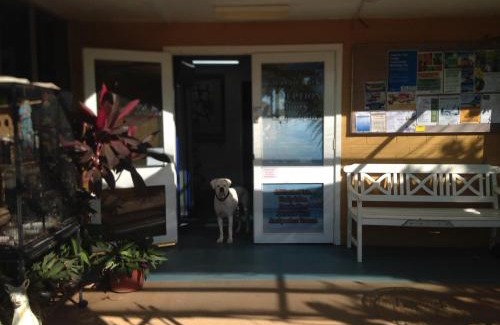 Kingsford Resort | Carnarvon Caravan Park