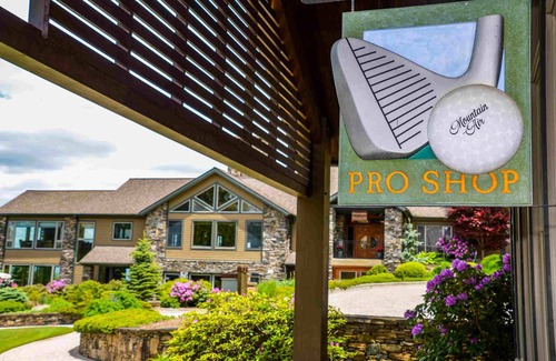 Mountain Air Apartment | Carolina Hemlock Suite- Private Club Access