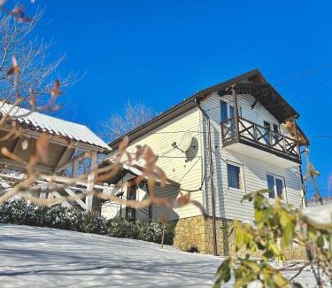 Yaremche Cabin | Carpathian manor