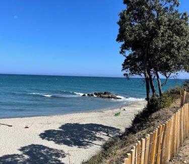Bravone Apartment | Carpediem-corsica Bravone