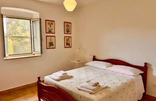 Grosseto Apartment | Carpine Agriturismo Bio in Maremma