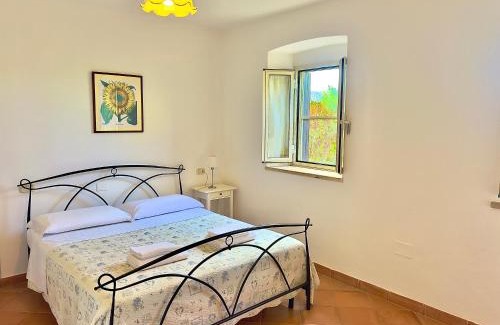 Grosseto Apartment | Carpine Agriturismo Bio in Maremma