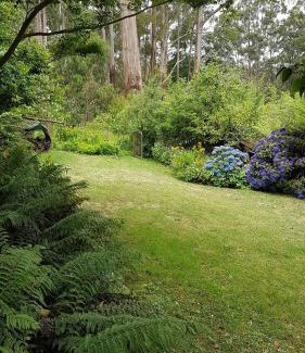 Mount Dandenong House | Cartref, Vintage Welsh Charm Meets Modern Comfort