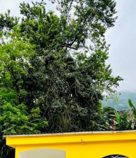 Porto da Madama House | Carvalho de Paquetá