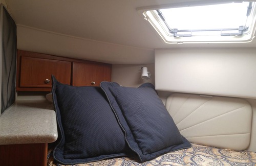 Palmetto Dunes Boat Rental | Carver 406 Motor Yacht