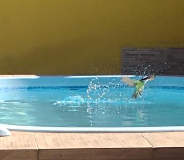 Tamoios House | Casa aconchegante com piscina e churrasqueira