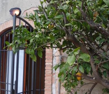 Lari Apartment | Casa Agostini