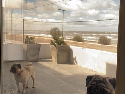 Balneario El Condor House | CASA AL LADO DEL MAR