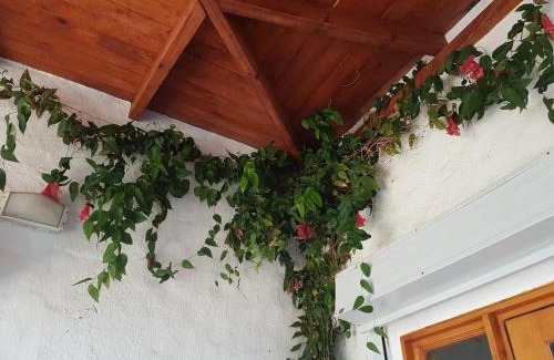 Algarrobo House | Casa Algarrobo Chile