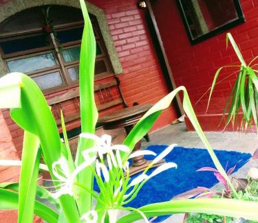 Marica Bed & Breakfast | Casa Aloha