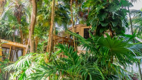 Zona Hotelera Hotel | Casa Ambar Hotel & Boutique Tulum