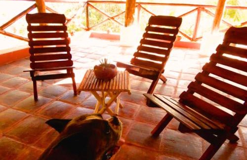 Arroyo Cruz House | Casa Andivi, Placer sin fin