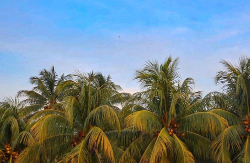 Telchac Puerto House | Casa Arrayan Telchac