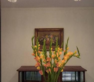 Centro Apartment | Casa Atávica Centro de Mérida