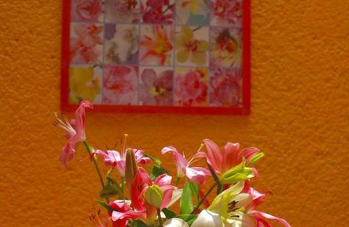 Del Carmen Bed & Breakfast | Casa Ayvar